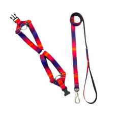 33717 - Conjunto Guia e Peitoral para Cães Seda Regulavel Colors - Tam GG