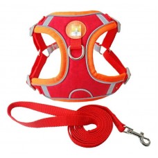 35198 - CJ GUIA E PEITORAL COLETE SUEDE COLORS G