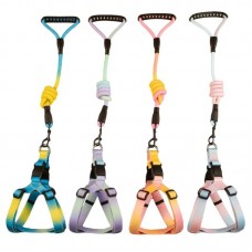 35199 - CJ GUIA E PEITORAL REG MIX DEGRADE 6MM