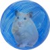 GLOBO P/HAMSTER